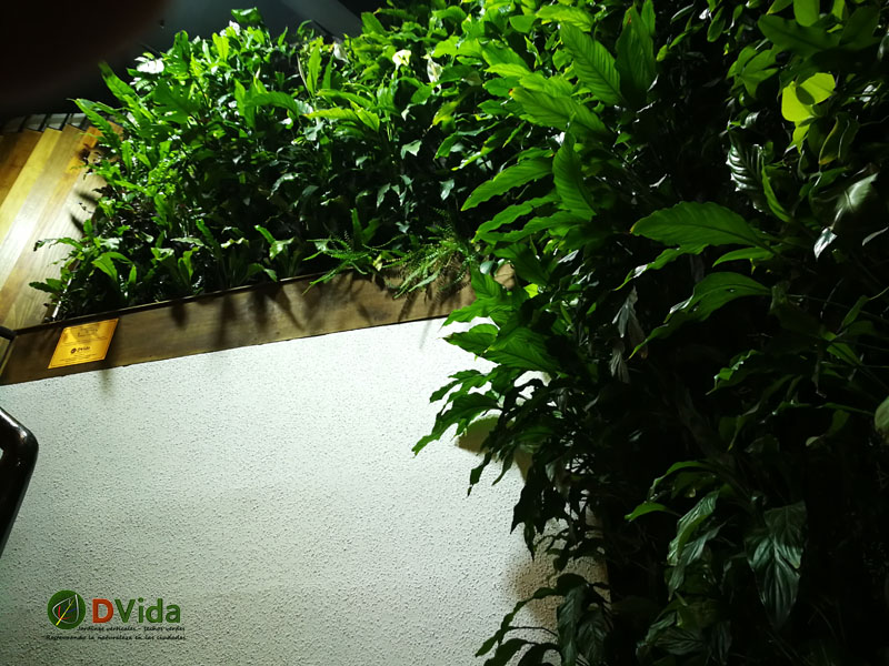 Muros verdes instalados en interior