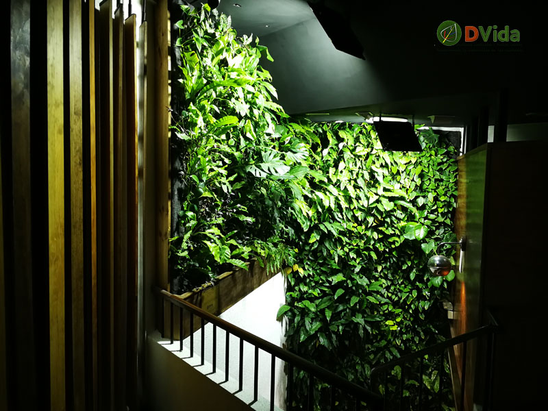 Jardín vertical en interior de cafe